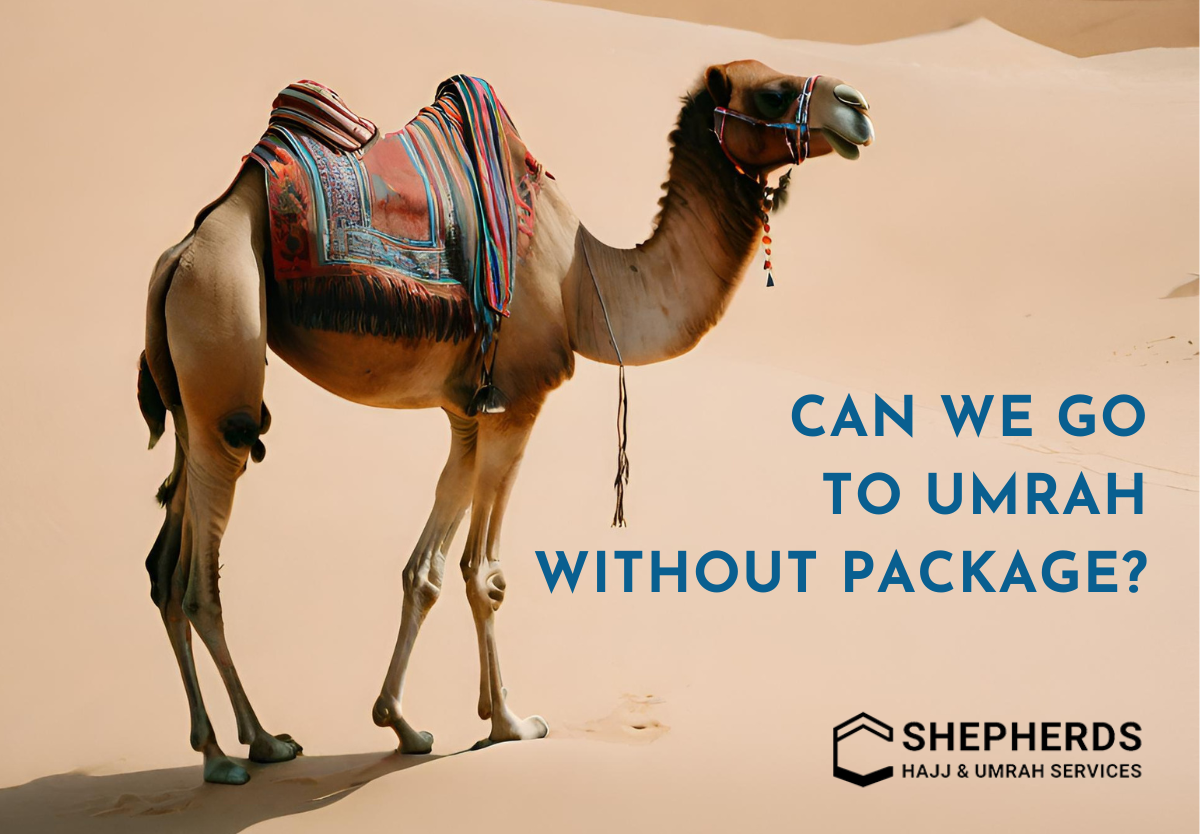 Can We Go to Umrah Without Package?