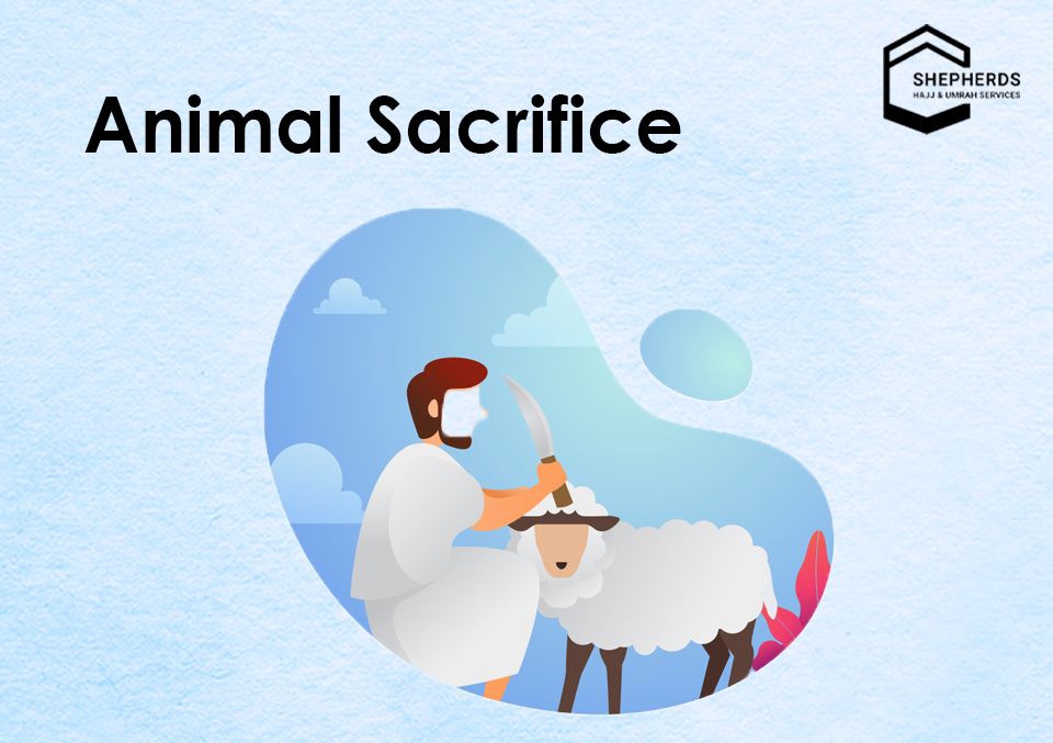 hajj ritual animal sacrifice